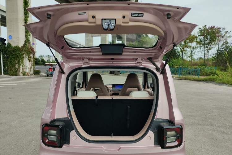 Used  Panda 2024 Panda Mini 200km Longteng PRO Edition
