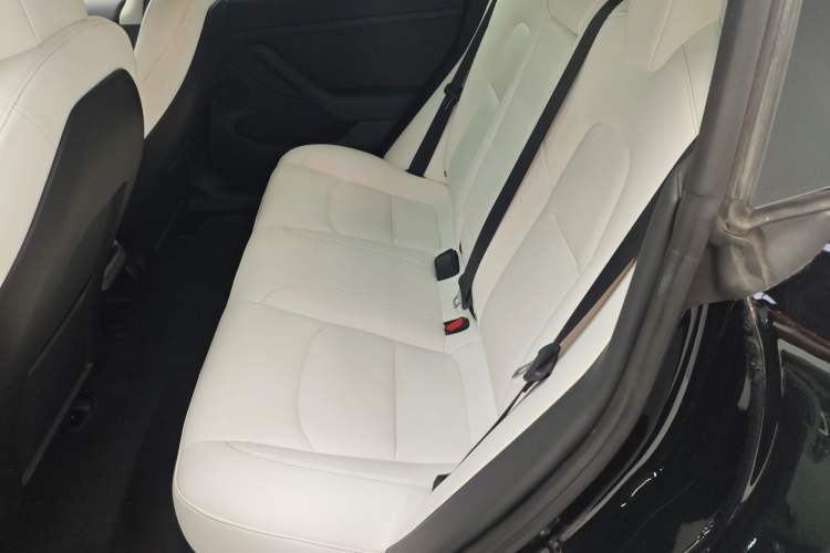 Used Tesla Model 3 2022 Performance High-Performance All-Wheel-Drive Version
