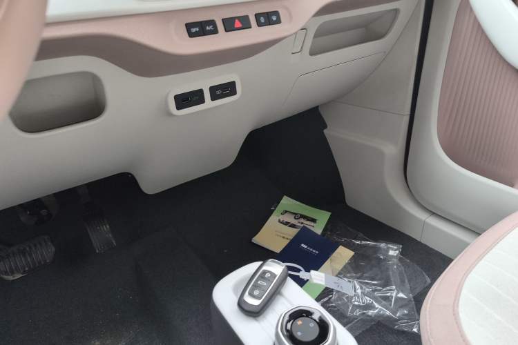 Used  Panda 2025 210 km – Yuanqi Bear
