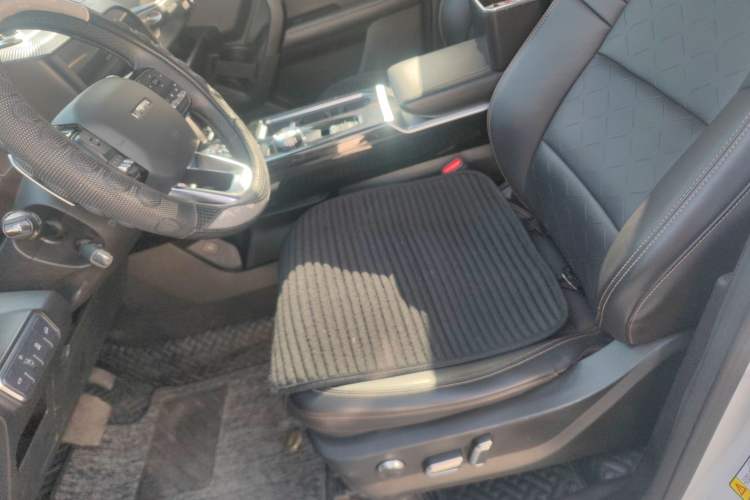 Used Haval DARGO 2021 2.0T DCT 4x4 Chinese Rural Dog Edition
