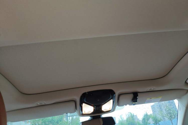 Used BMW 5 Series New Energy 2020 530Le Pioneer Edition
