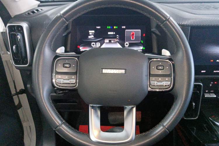 Used Haval DARGO 2021 1.5T DCT Two-Wheel Drive "Wangcai" Edition
