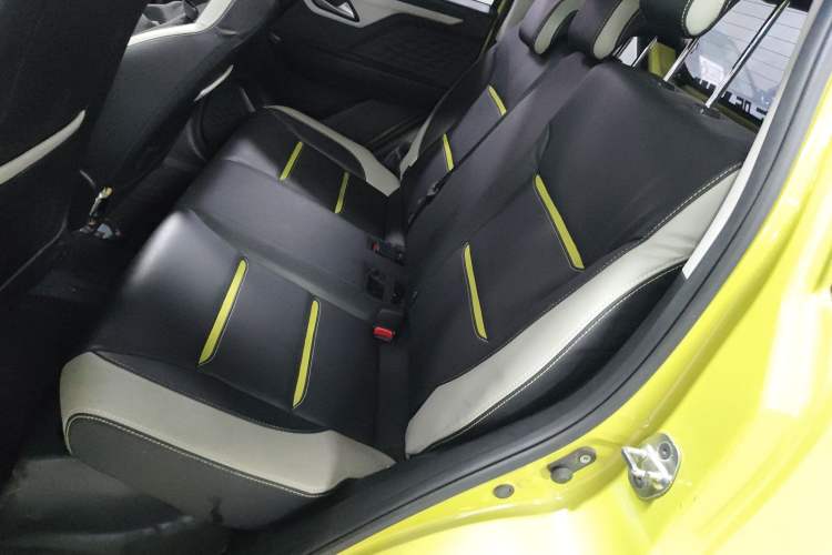 Used SOL E10X 2022 Flower Fairy Style Baby's Breath
