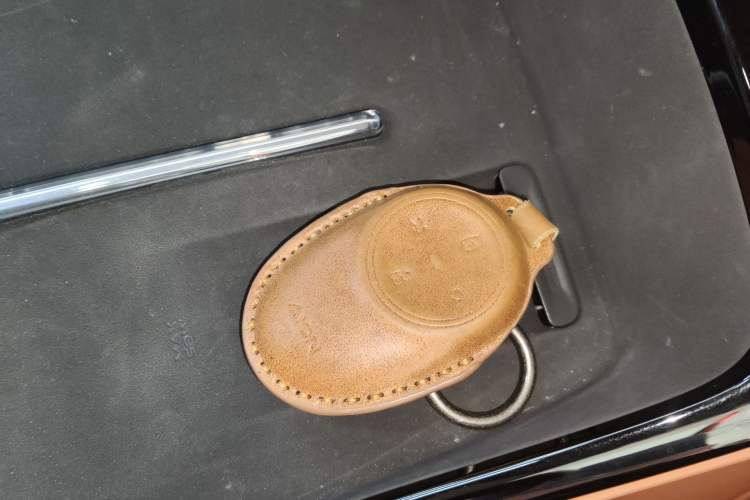 Used AION V 2024 Aion Tyrannosaurus 650 LiDAR Edition
