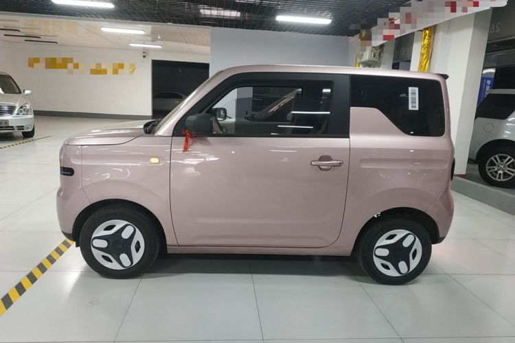 Used  Panda 2025 210 km – Yuanqi Bear
