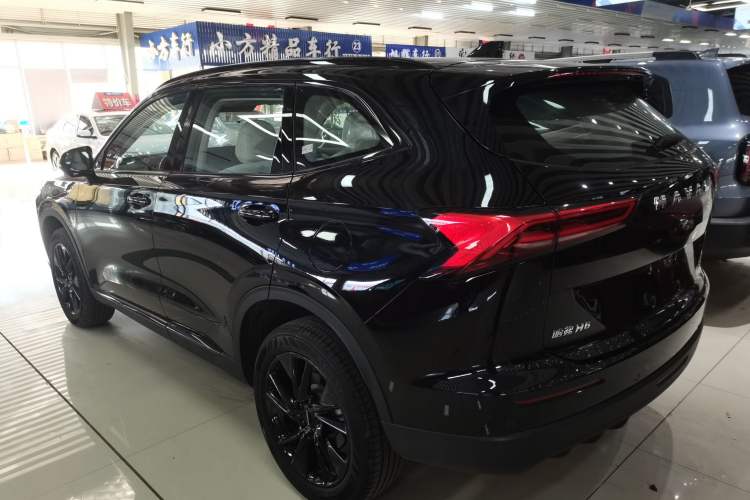 Used Haval H6 2024 2.0T All-Wheel Drive Max