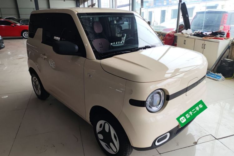 Used  Panda 2025 210 km – Yuanqi Bear