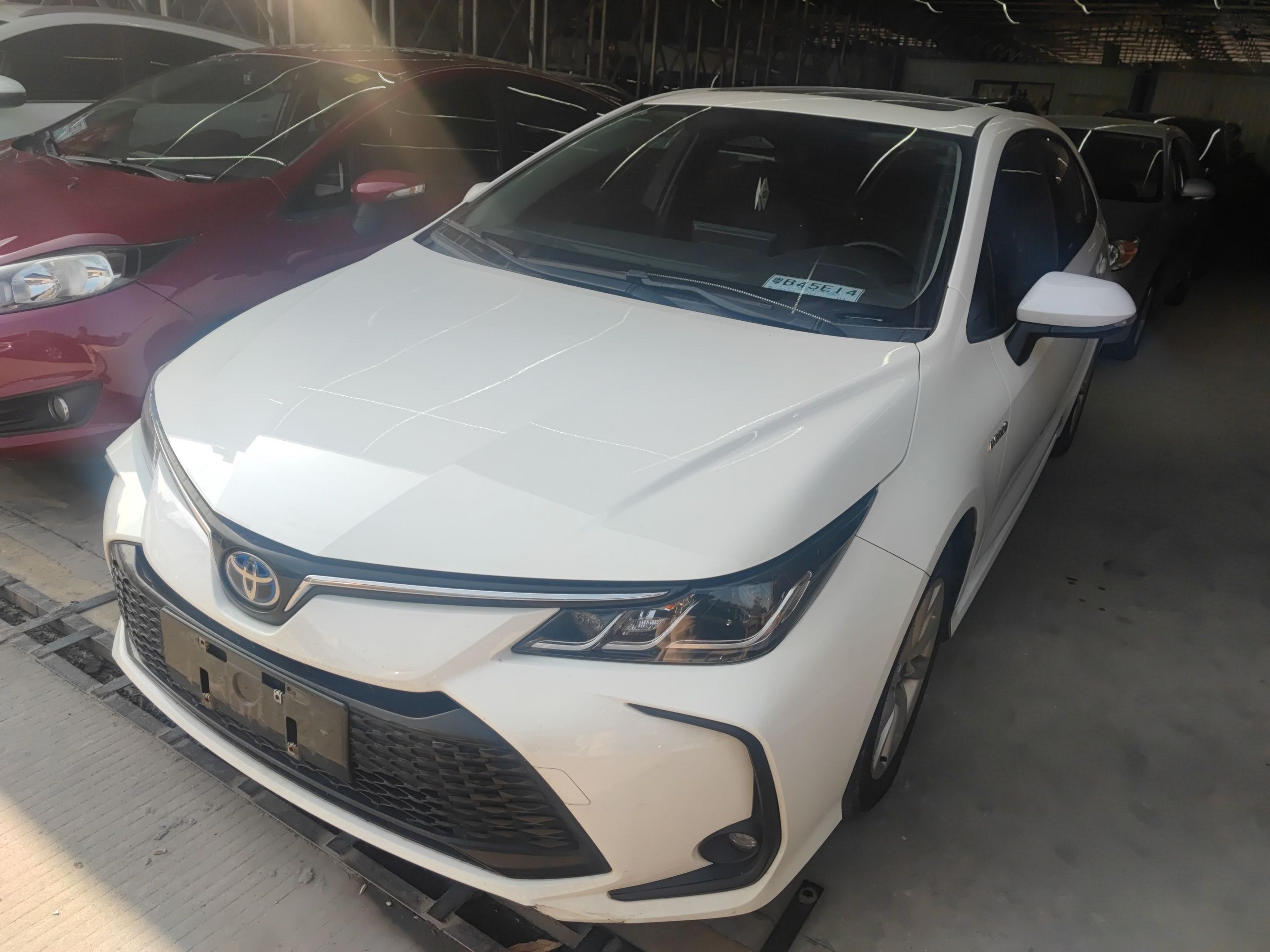 تحت مقدمة السيارة