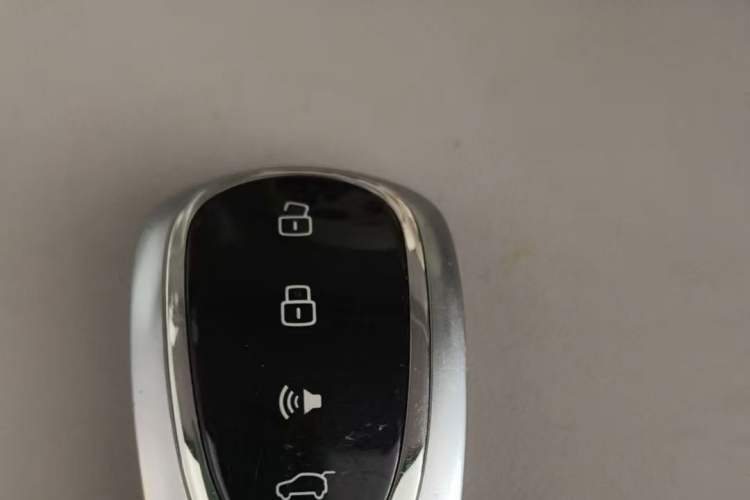 Used Wey Lanshan 2023 Four-Wheel Drive Ultra-Long Range Version
