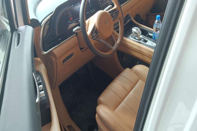 Used VOYAH Dream 2024 PHEV Extended-Range Premium Edition
