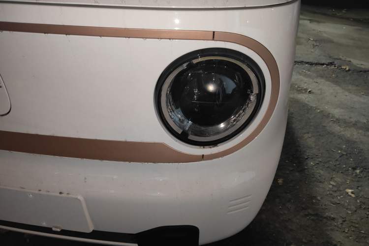 Used  Panda 2024 Panda Mini 200km Endurance Bear
