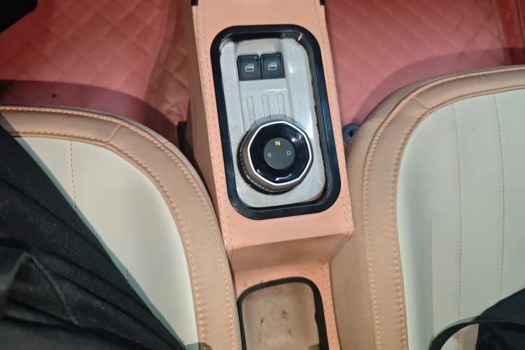 Used  Panda 2023 Panda Mini 200km Endurance Bear