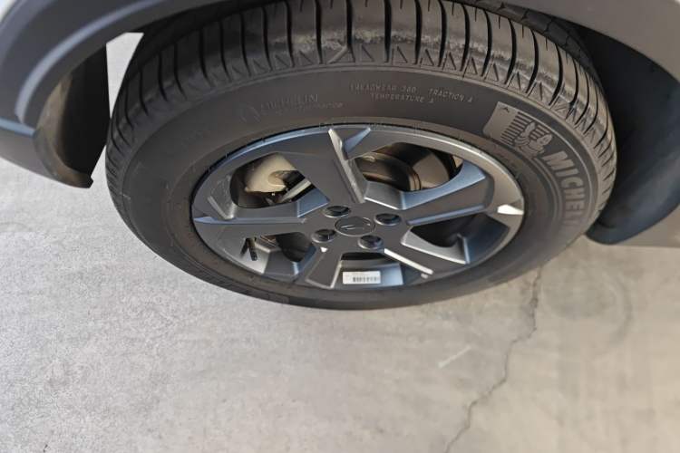 Used Geometry E 2022 320KM Cute Tiger 5-Seater
