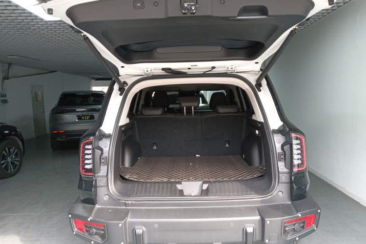 Used Haval DARGO 2024 2.0T DCT Chinese Rural Dog Edition
