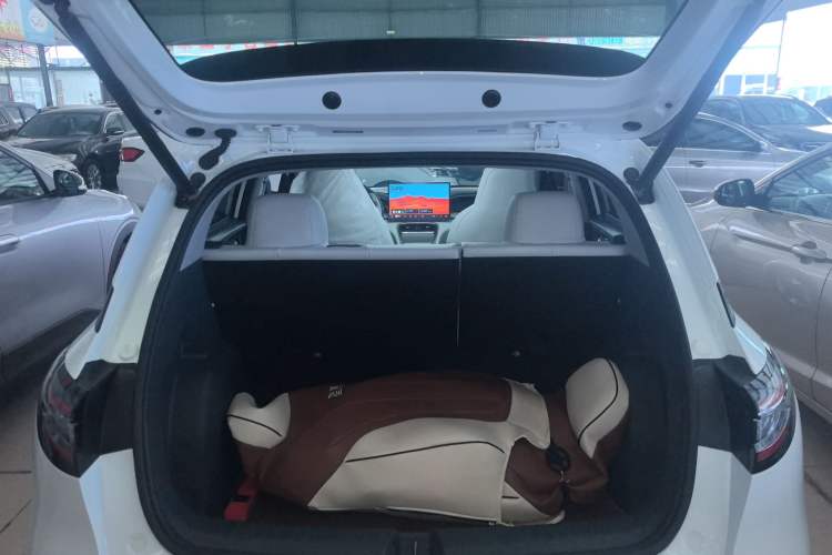 Used  Geome 2025 310km Dream Edition
