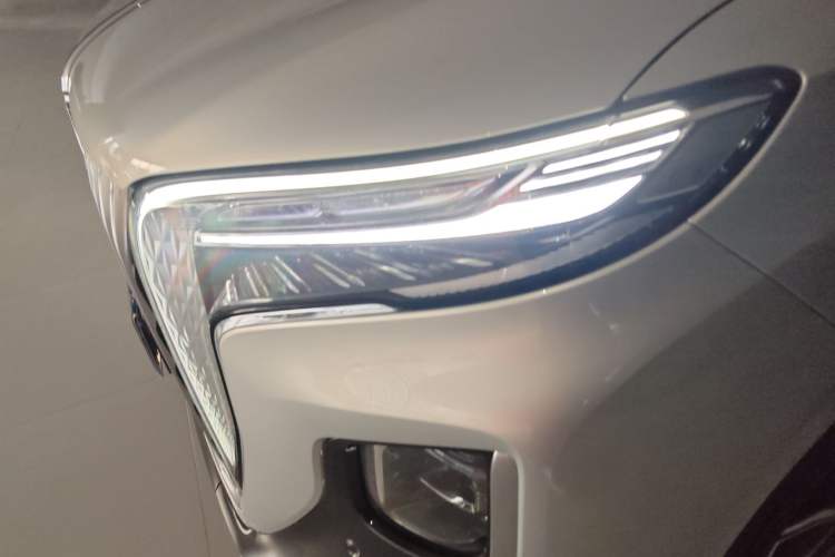 Used Hongqi HQ9 2023 2.0T Smart Connect Flagship Edition