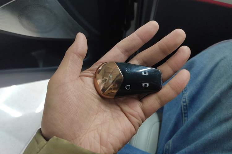 Used VOYAH Dream 2025 EV Four-Wheel Drive Flagship Kunpeng Edition
