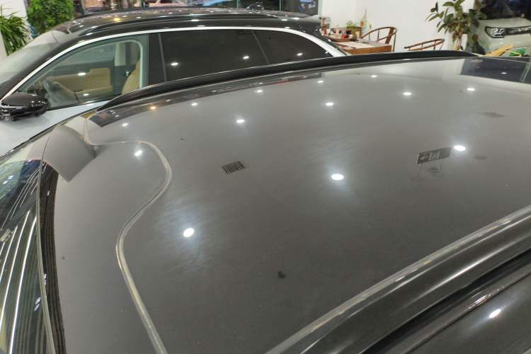 Used Leapmotor C11 2024 Range-Extended 300 Luxury Edition
