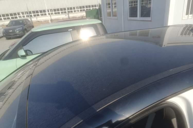 Used SOL E10X 2022 Flower Fairy Design Four-Leaf Clover