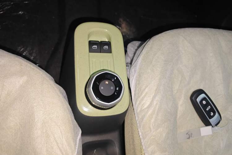 Used  Panda 2024 Panda Mini 200km Endurance Bear
