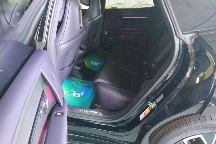 Used  06 2025 Max Extended-Range Edition
