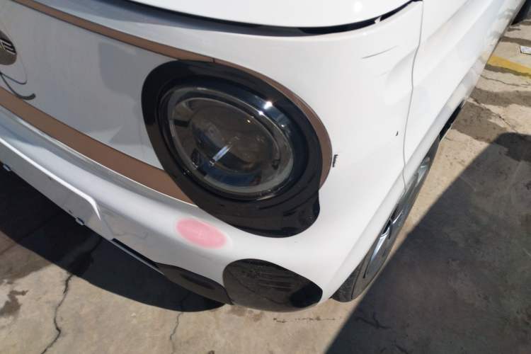 Used  Panda 2023 Panda Mini 200km Endurance Bear
