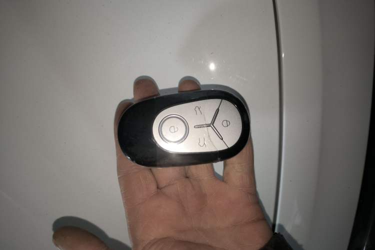 Used  Geome 2025 310km Dream Edition