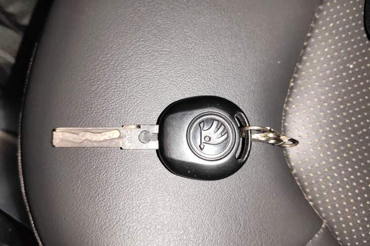 Used Skoda Rapid 2020 1.5L Automatic Comfort Edition
