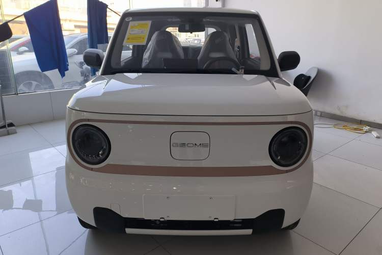Used  Panda 2024 Panda Mini 200km Endurance Bear
