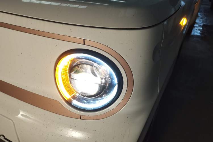 Used  Panda 2024 Panda Mini 200km Endurance Bear
