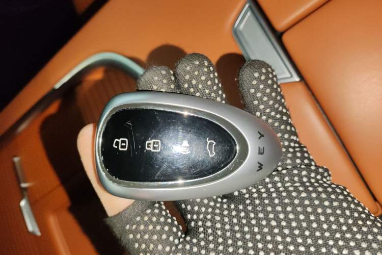 Used Wey Lanshan 2025 Four-Wheel Drive Max