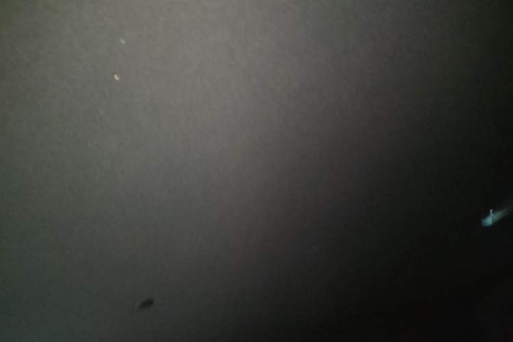 Used  T01 2025 2.0T Changfeng