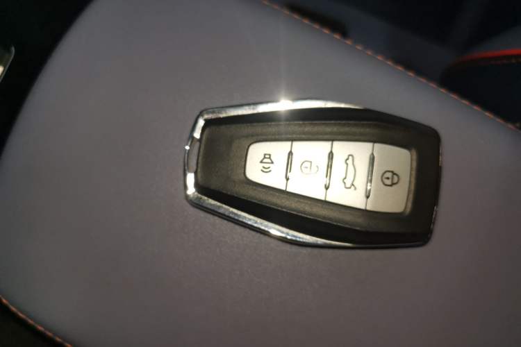 Used Geometry E Firefly 2022 401KM Lightning Tiger 4-Seater
