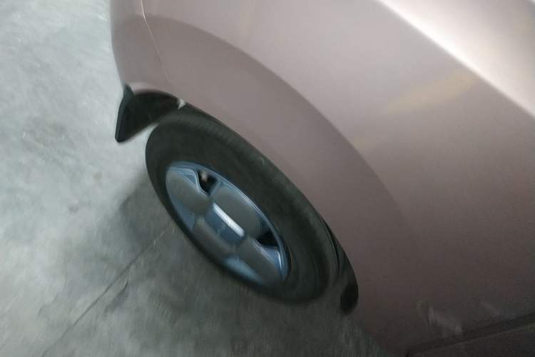 Used  Panda 2023 Panda Mini 200km Endurance Bear
