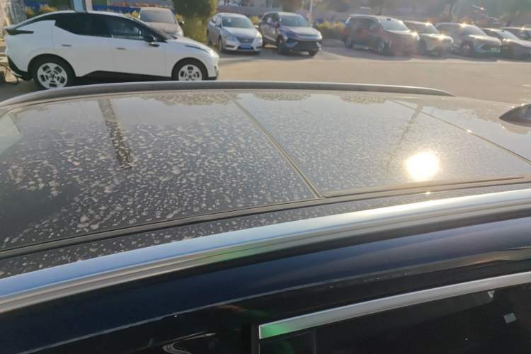 Used BYD Tang New Energy 2025 DM-i 115KM Flagship Model
