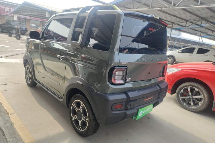 Used  Panda 2024 200km Panda Rider