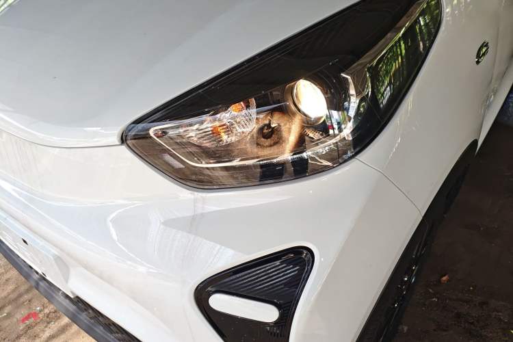 Used Chery Little Ant 2024 Refreshed Version Youth Edition 321 km Beloved Edition 29.23 kWh
