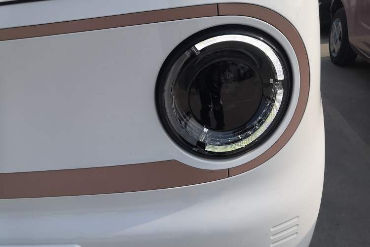 Used  Panda 2024 Panda Mini 200km Endurance Bear
