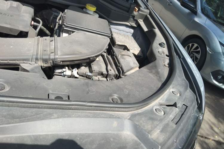 Used Haval H6 2021 China Trend Edition 1.5 GDIT Automatic Champion Version
