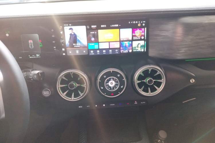 Used Tank 300 New Energy 2024 Hi4-T
