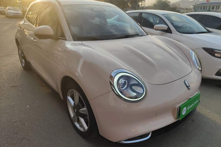 Used ORA Good Cat 2022 Morandi Edition 400km Standard Range Premium Version Lithium Iron Phosphate
