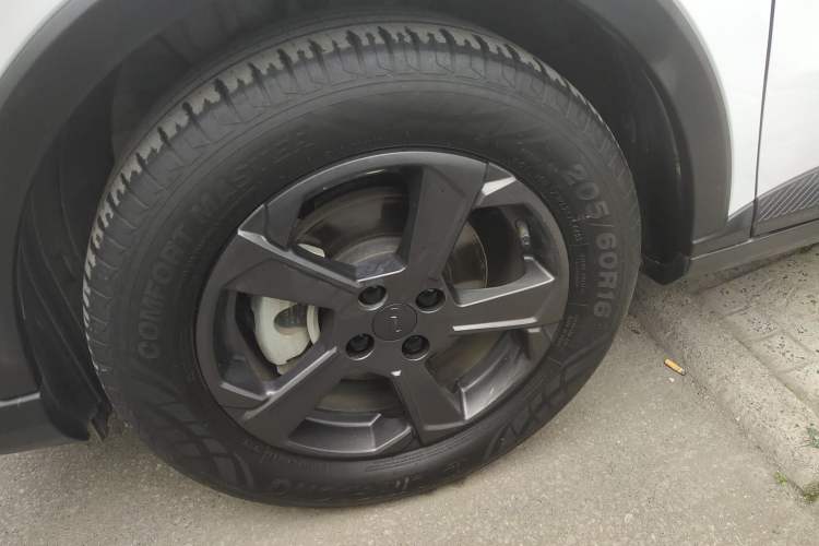 Used Geometry E Firefly 2023 401KM Linglong Tiger 5-Seater
