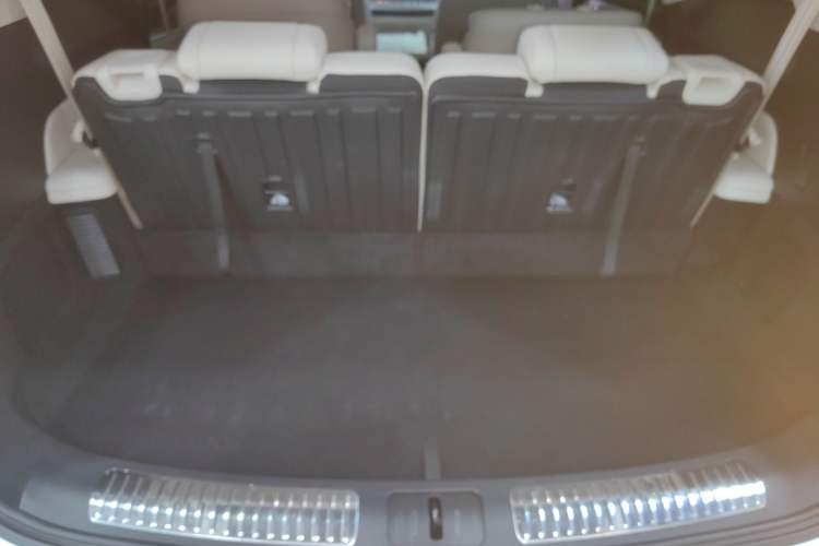 Used Wey Lanshan 2023 Four-Wheel Drive Ultra-Long Range Version