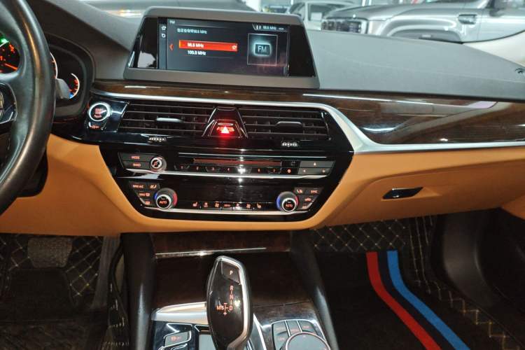 Used BMW 5 Series 2018 528Li Launch Special Edition
