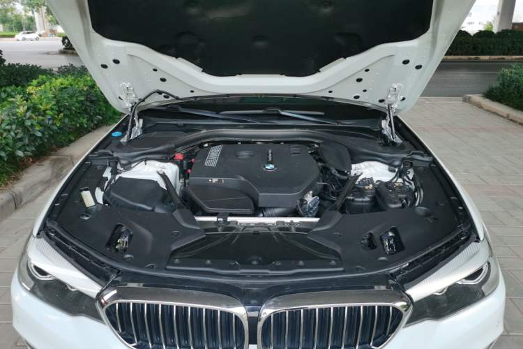 Used BMW 5 Series 2018 528Li Launch Special Edition
