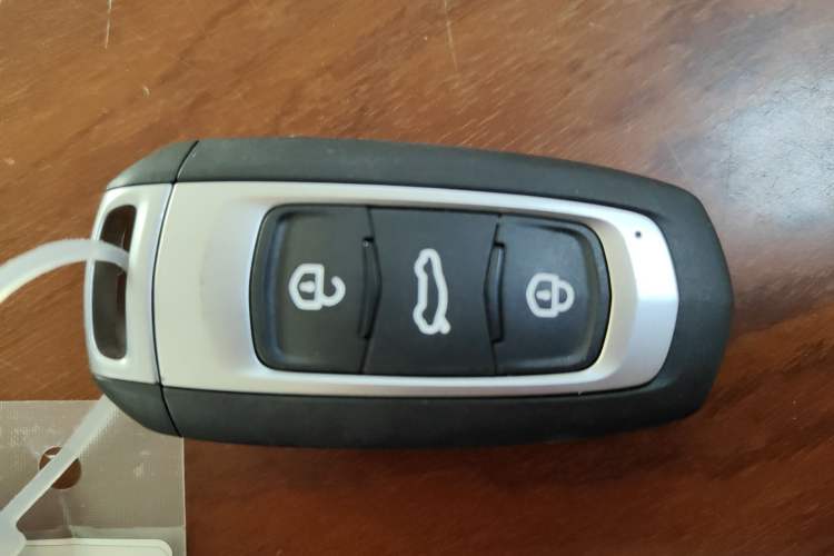 Used  Panda 2024 Panda Mini 200km Endurance Bear
