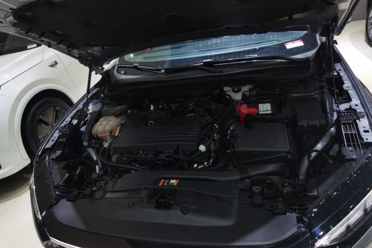 Used Ford EVOS 2022 EcoBoost 245 First Edition Limited Edition