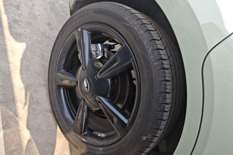 Used ORA Good Cat 2024 401 km Range Luxury Version 135 kW