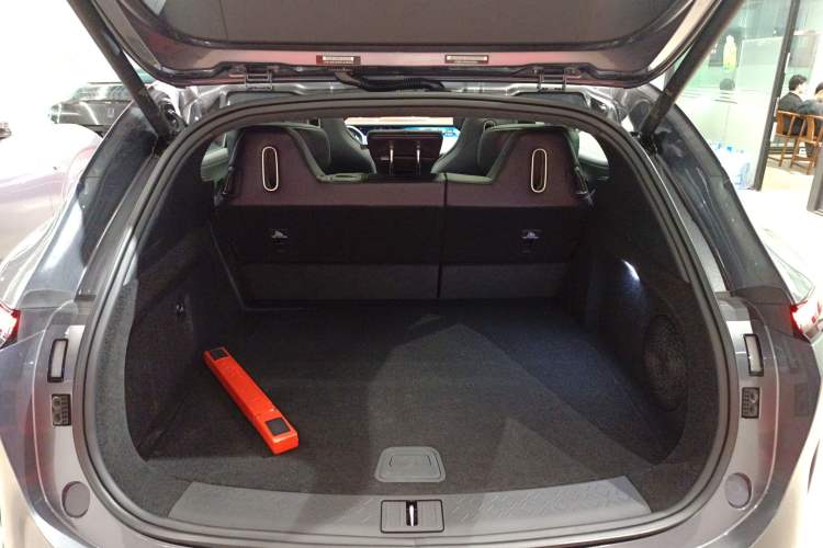 Used  07 2024 Max Extended-Range Edition
