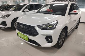 Used Haval H6 Coupe 2020 Smart Connect Version 1.5T Automatic Two-Wheel Drive Elite Model